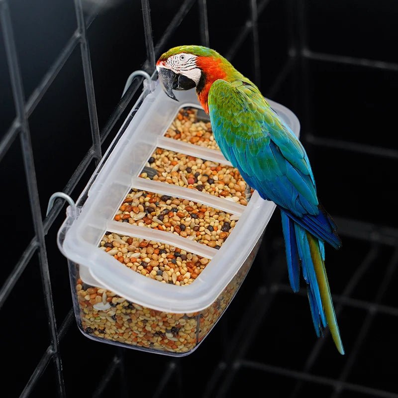 Eco-vriendelijke transparante vogelvoederbak