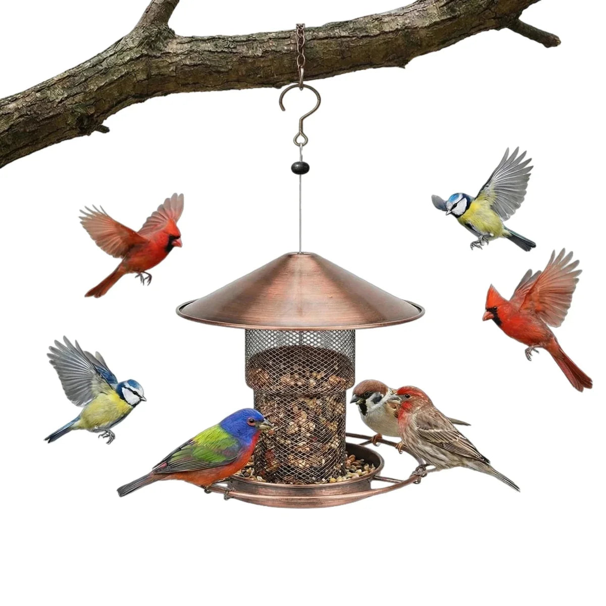 Eekhoornbestendige IJzeren Vogelvoederbak