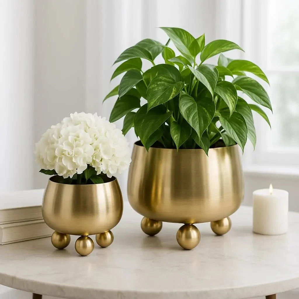 Moderne Plantenbak Voor Binnen En Buiten