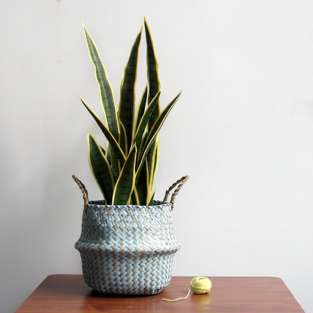 Handgemaakte opvouwbare boho plantenmand