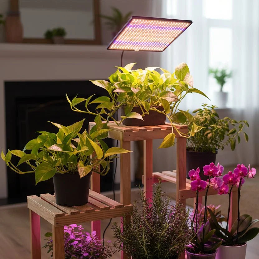 Full-Spectrum 1200W led-kweeklamp