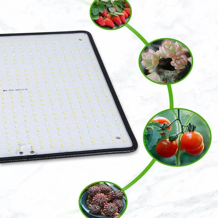 Full-Spectrum 1200W led-kweeklamp