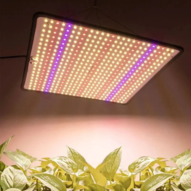 Full-Spectrum 1200W led-kweeklamp