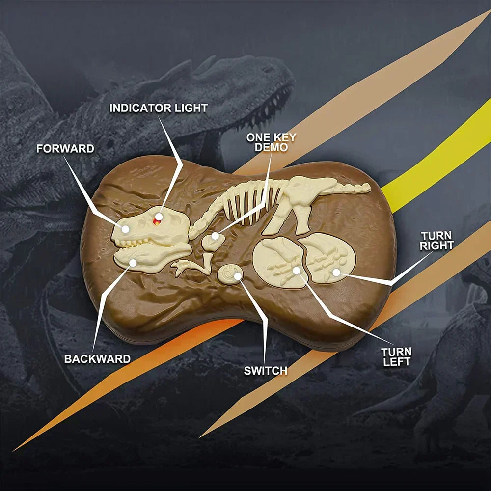 Radiografisch Bestuurbare Dinosaurus Velociraptor