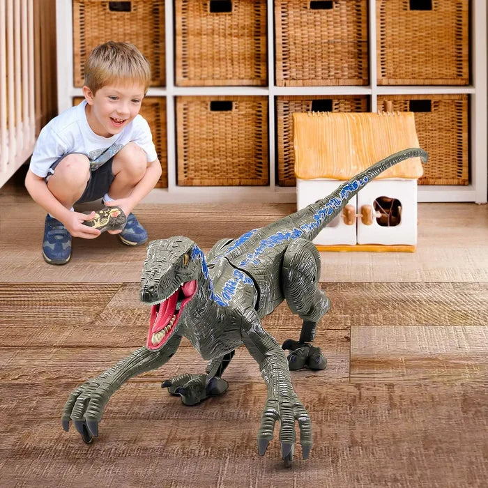 Radiografisch Bestuurbare Dinosaurus Velociraptor