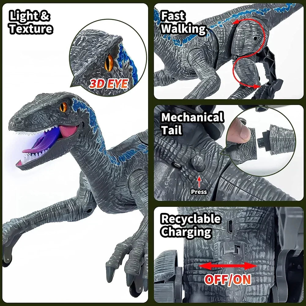 Radiografisch Bestuurbare Dinosaurus Velociraptor