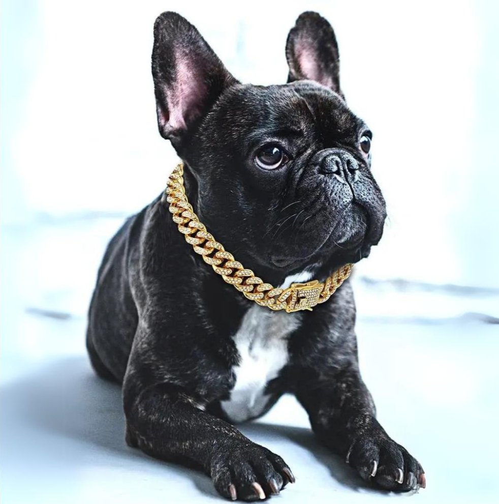 Luxe Cubaanse Schakelketting Halsband