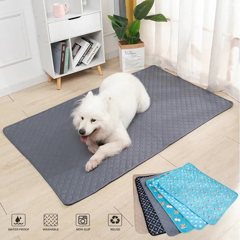 Herbruikbare Wasbare Plasmatten Hond