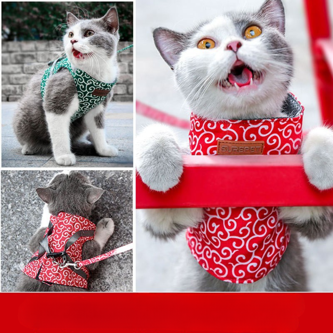 Anti-Breakout Kattenharnas Met Lijn