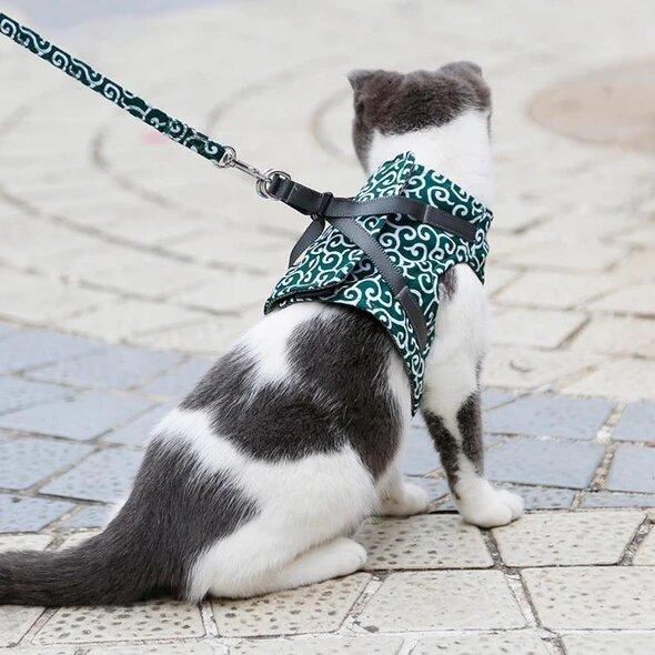 Anti-Breakout Kattenharnas Met Lijn
