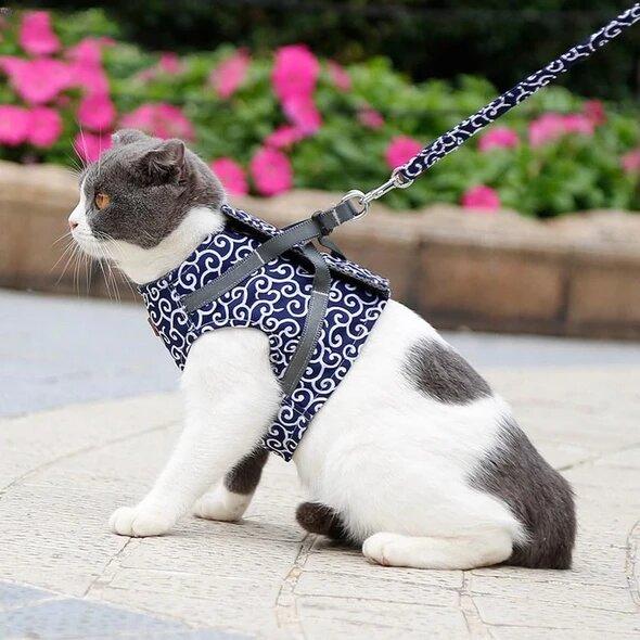 Anti-Breakout Kattenharnas Met Lijn