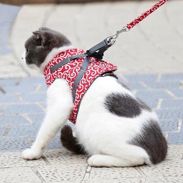 Anti-Breakout Kattenharnas Met Lijn