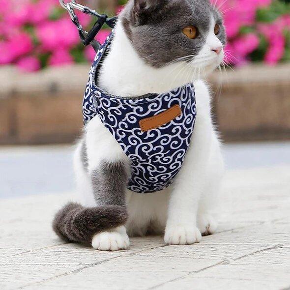 Anti-Breakout Kattenharnas Met Lijn