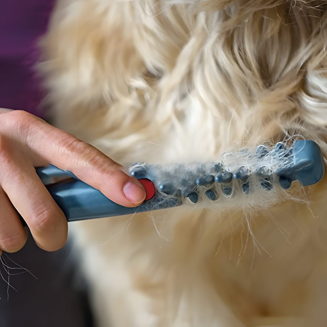 Dierenharen Trimmer Voor Katten En Honden