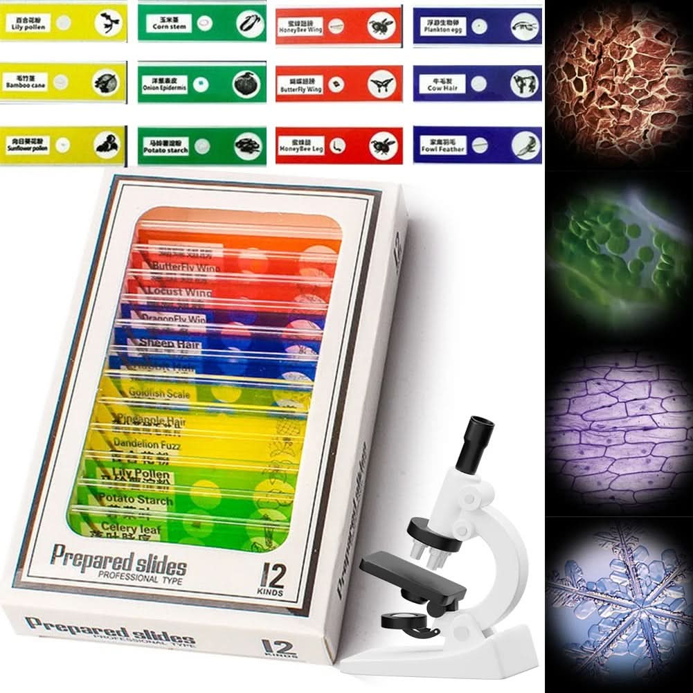 Draagbare Microscoop voor Kinderen
