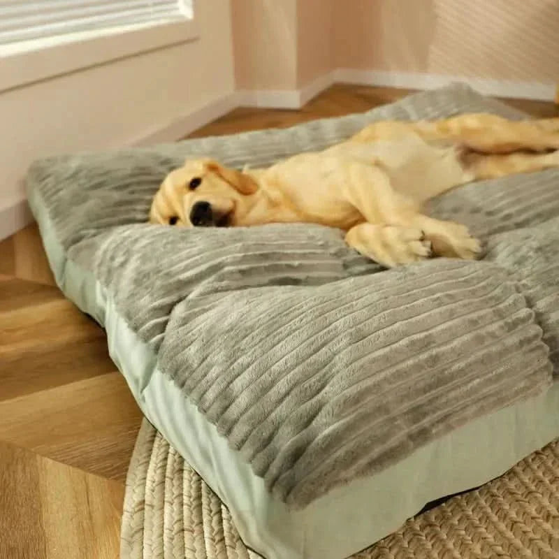 Orthopedisch Hondenbed