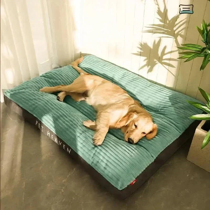 Orthopedisch Hondenbed