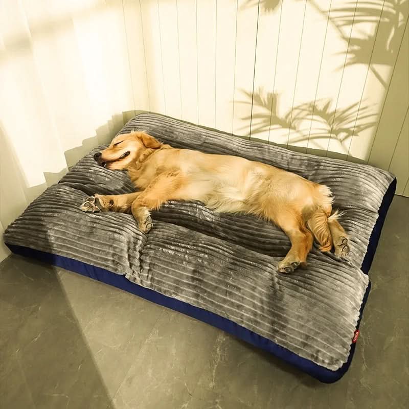 Orthopedisch Hondenbed
