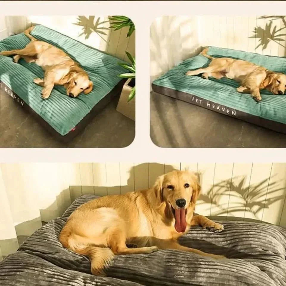 Orthopedisch Hondenbed