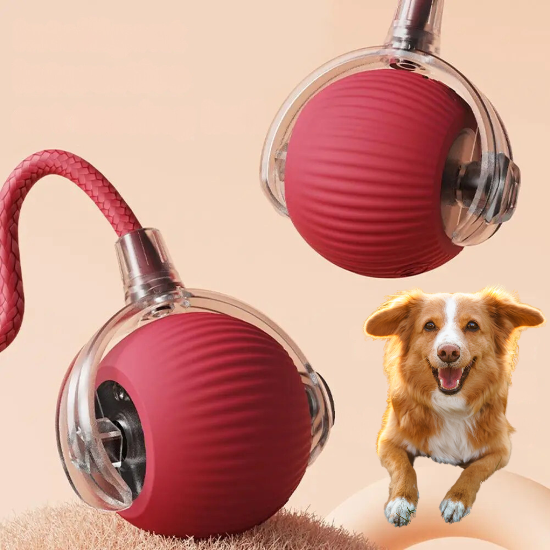 Interactief Rollend Bal Speelgoed met Staart voor Honden