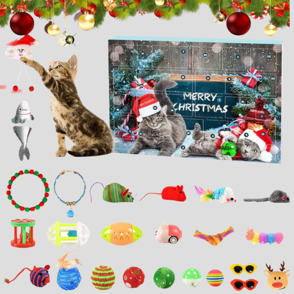Kat Speelgoed Adventskalender 24 Dagen