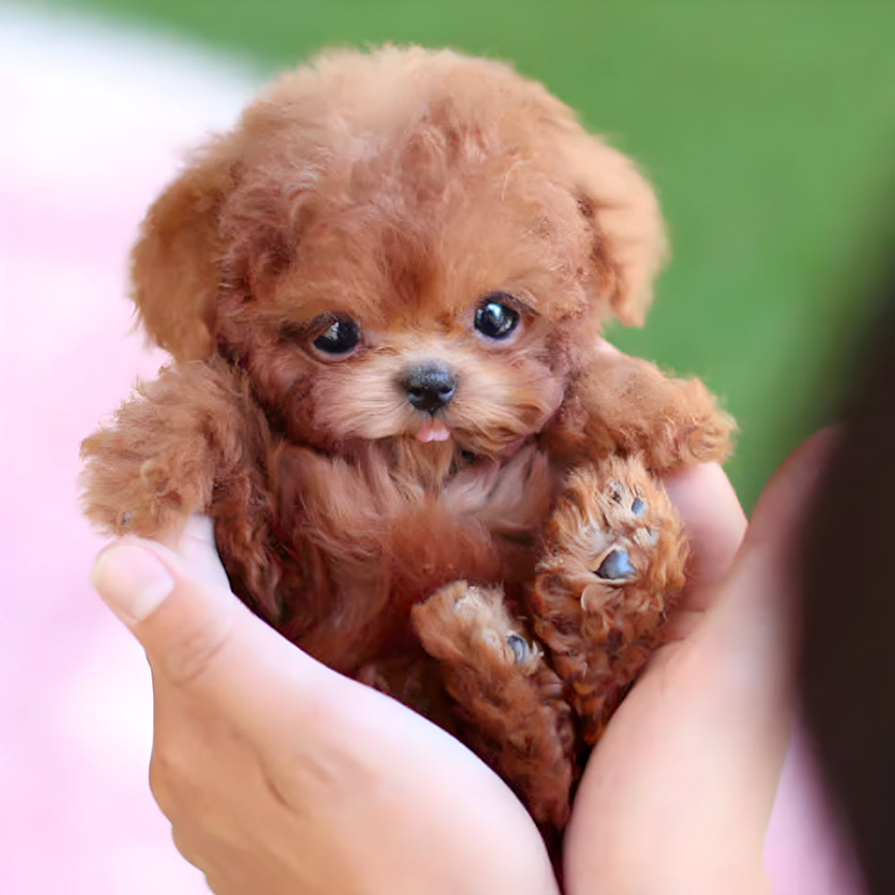 Interactieve Robot Puppy Speelgoed