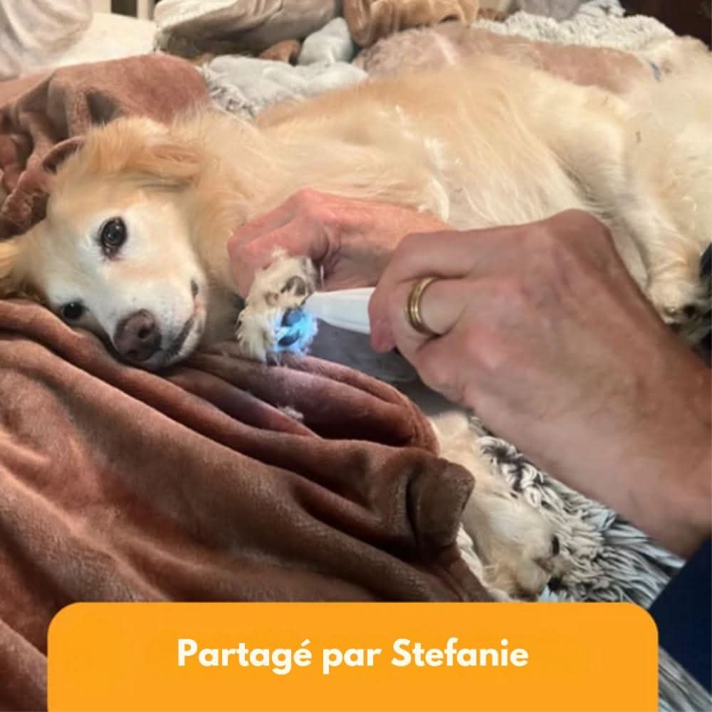 Stille Vachttrimmer voor Honden & Katten
