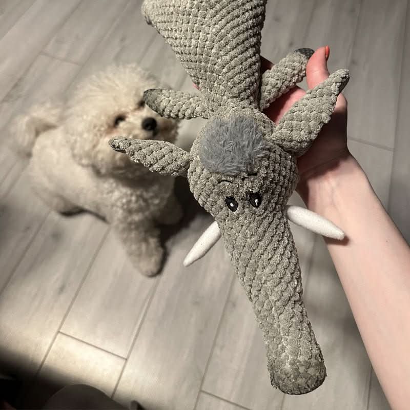 Duurzaam denim kauwspeelgoed voor honden