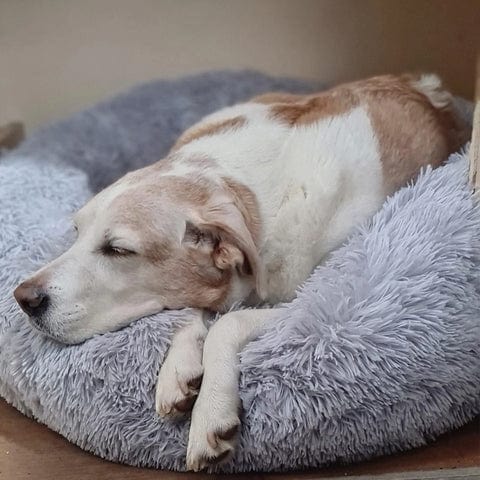 Daisy kalmerend huisdierenbed