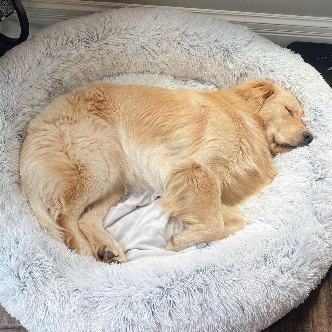 Daisy kalmerend huisdierenbed