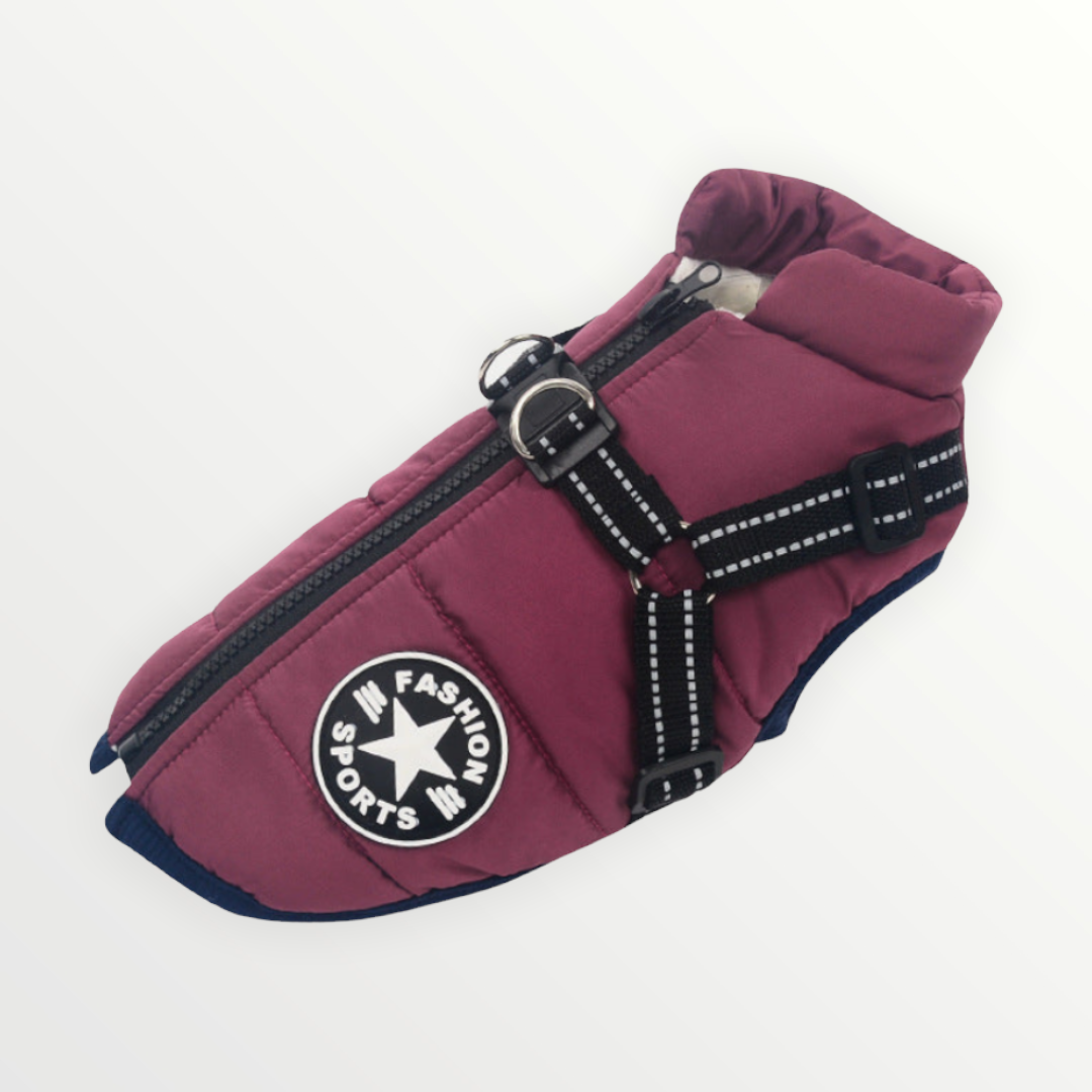 PawShield 3-in-1 Hondenjas