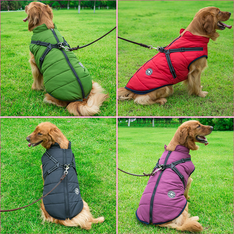PawShield 3-in-1 Hondenjas