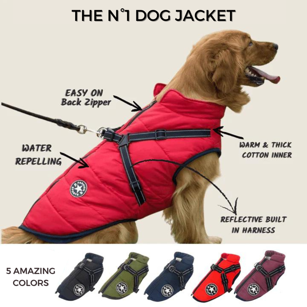 PawShield 3-in-1 Hondenjas