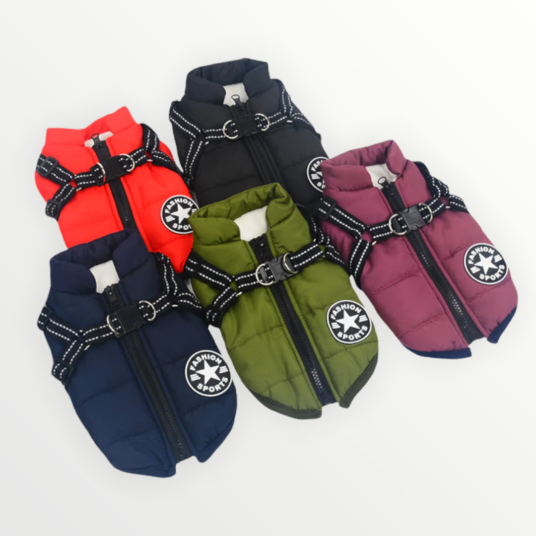 PawShield 3-in-1 Hondenjas