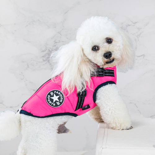 PawShield 3-in-1 Hondenjas