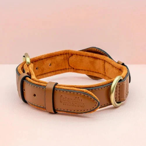 Premium AirTag hondenhalsband