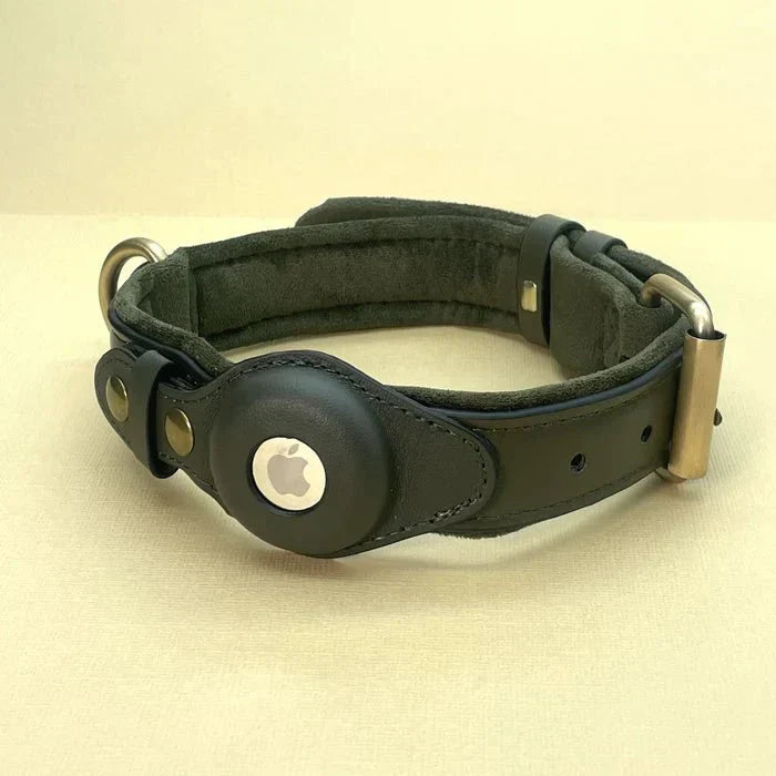 Premium AirTag hondenhalsband