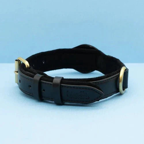 Premium AirTag hondenhalsband